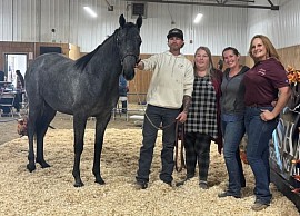 Forbearance (Custard the Dragon x Panagler)